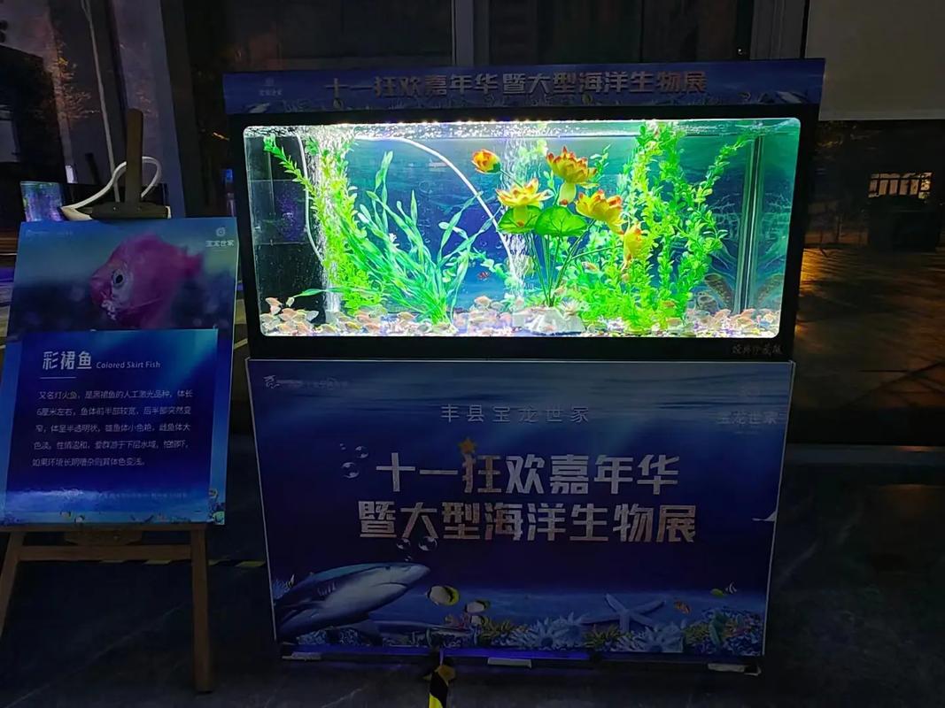 專業(yè)動(dòng)物出租服務(wù) 馬戲團(tuán)表演、海獅與羊駝租賃解決方案