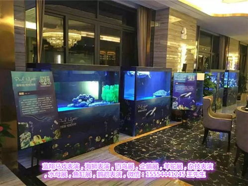 肇慶馬戲團(tuán)表演出租 為各類活動(dòng)增添歡笑的專業(yè)選擇